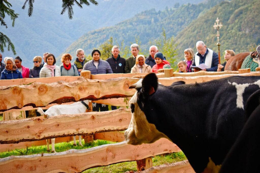 sabato 17 e domenica 18 ottobre
Parrocchia